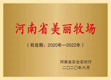  | 2019Ⱥʡʳ¯ bbinӯҵ